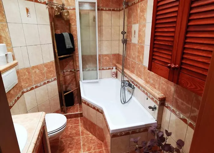 The View Apartment Cesky Krumlov